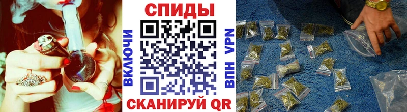 Бутират буратино Новочеркасск