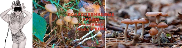 каннабис Бугульма