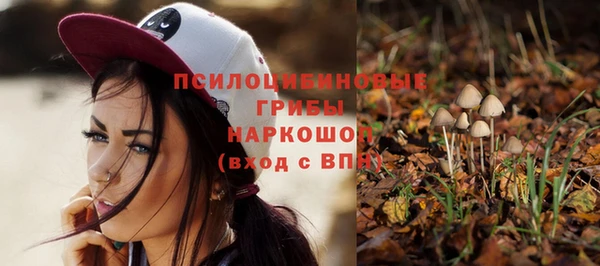 прущая мука Бородино