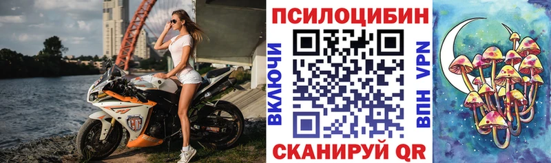 Псилоцибиновые грибы мицелий  Новочеркасск 
